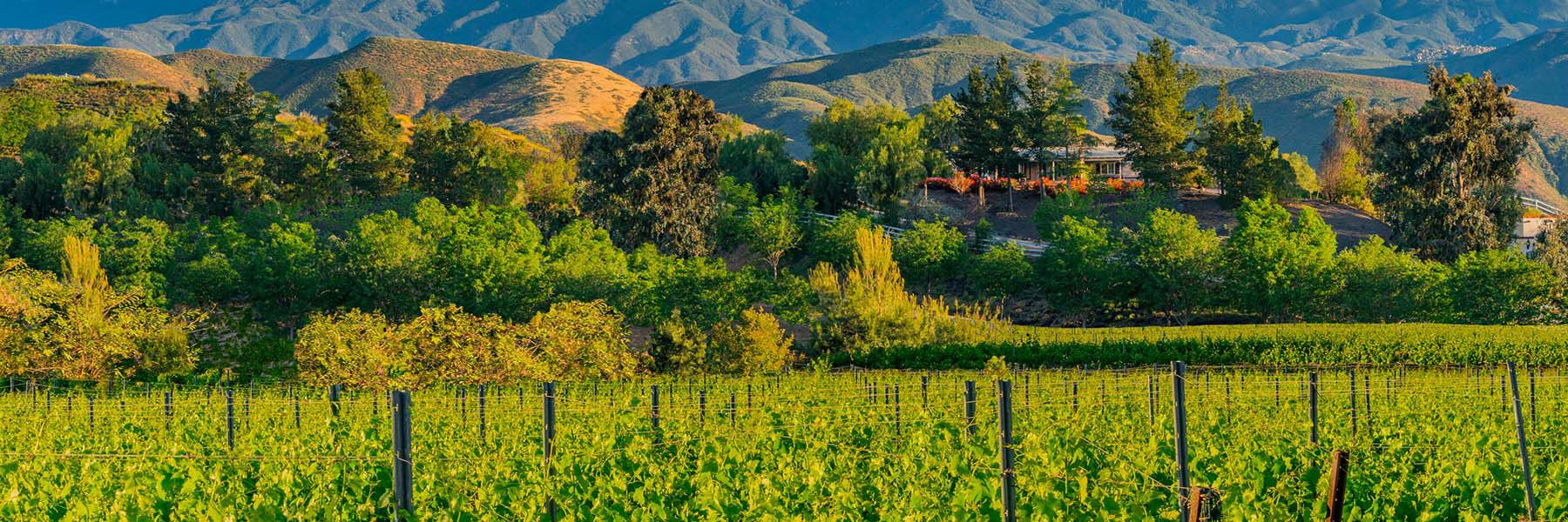 Good places near Golden Village Palms Hemet California