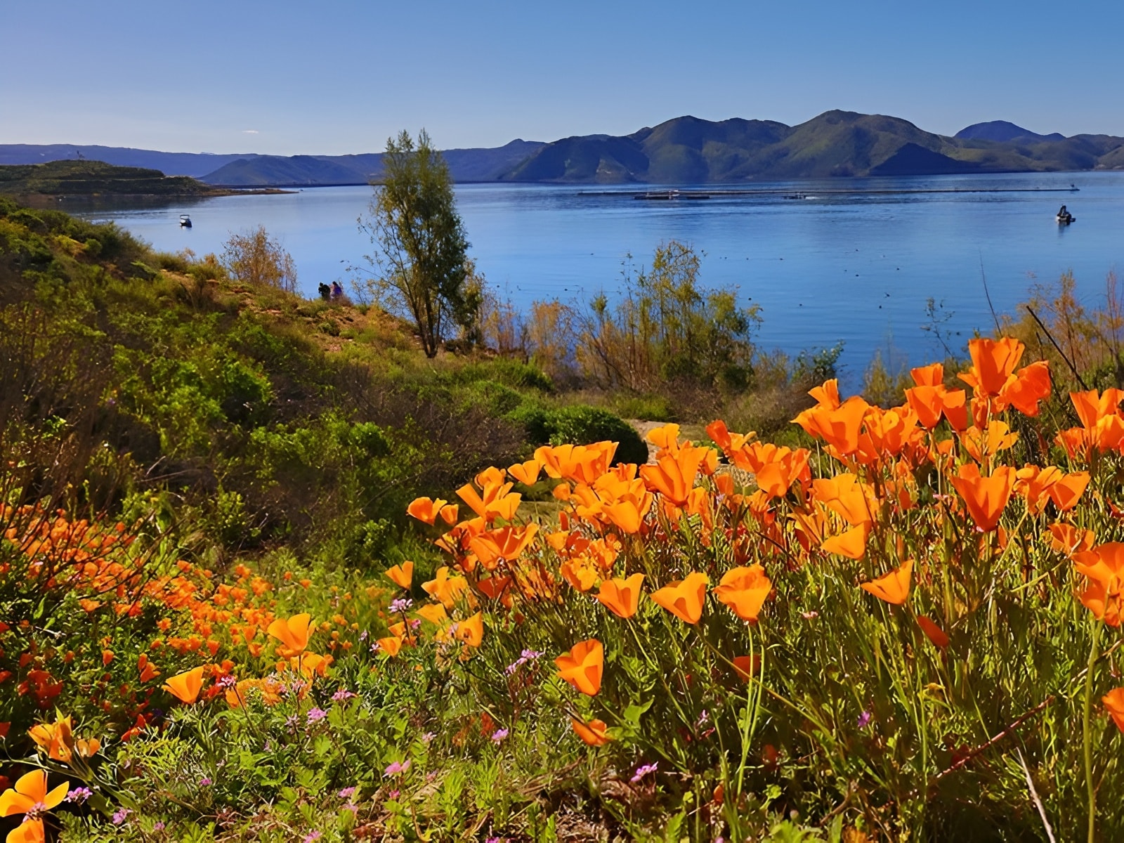 Diamond Valley Lake