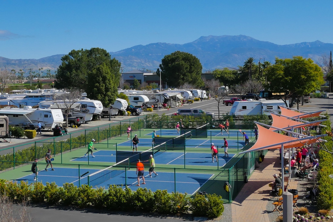 Pickleball courts at Golden Village Palms RV Resort