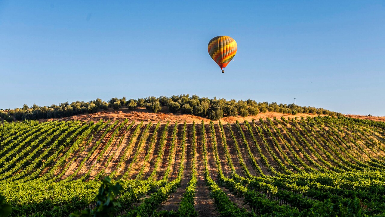 Hot air balloon ride over Temecula