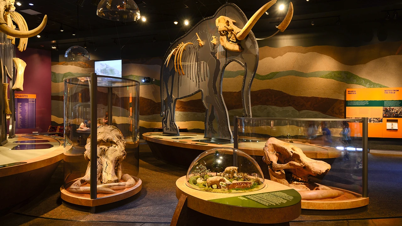 Western Science Center, Hemet, California