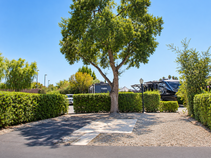Deluxe RV Site at Golden Village Palms