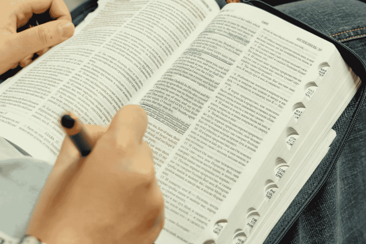 Bible Study